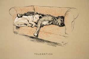 Toleration, 1930, 1. utgave av 